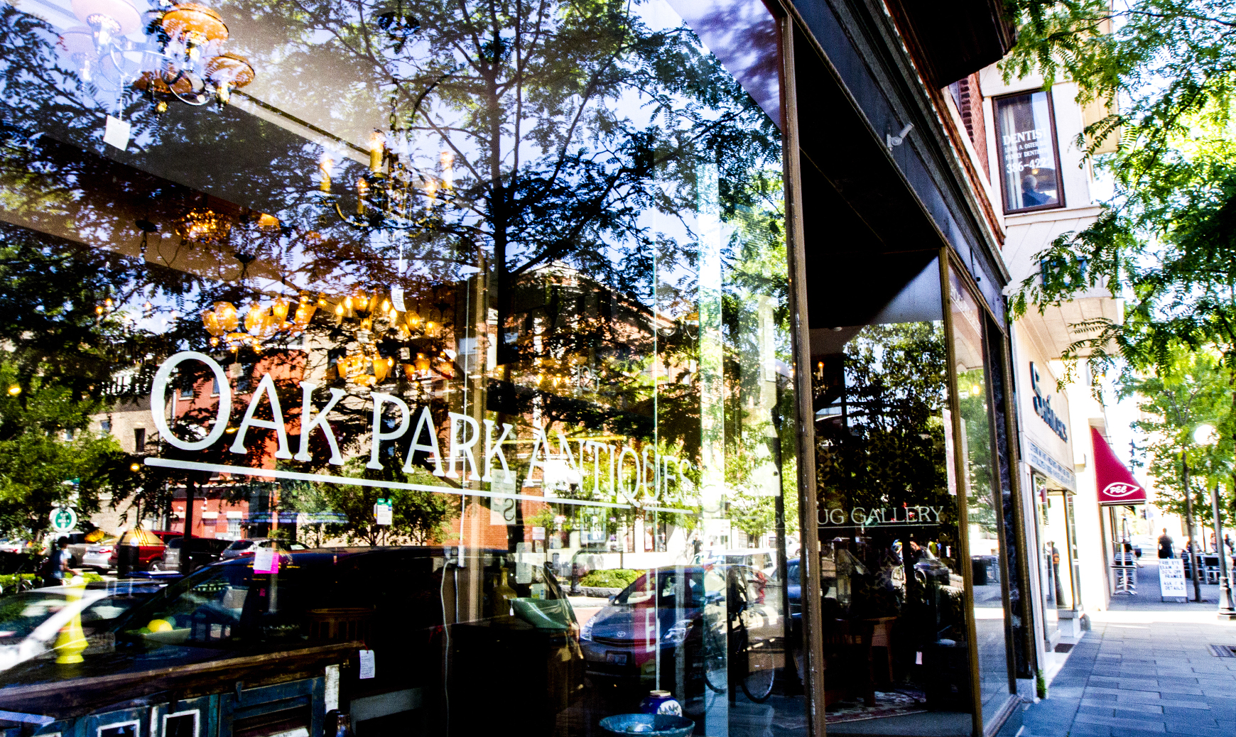 (1740x1038)Oak_Park_Window.jpg